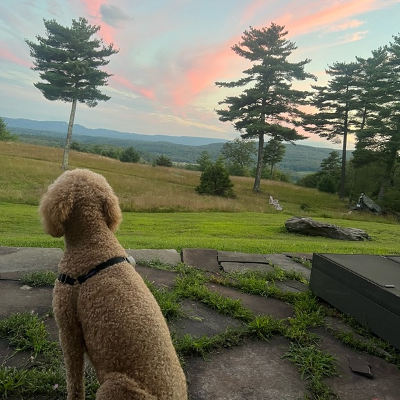 Meet your Posher, Brooke - Picture 4 of 4